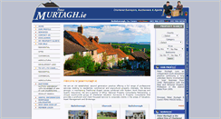 Desktop Screenshot of petermurtagh.ie